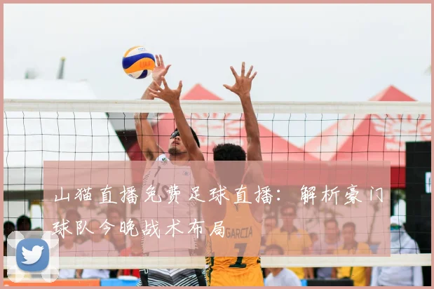 山猫直播免费足球直播:解析豪门球队今晚战术布局