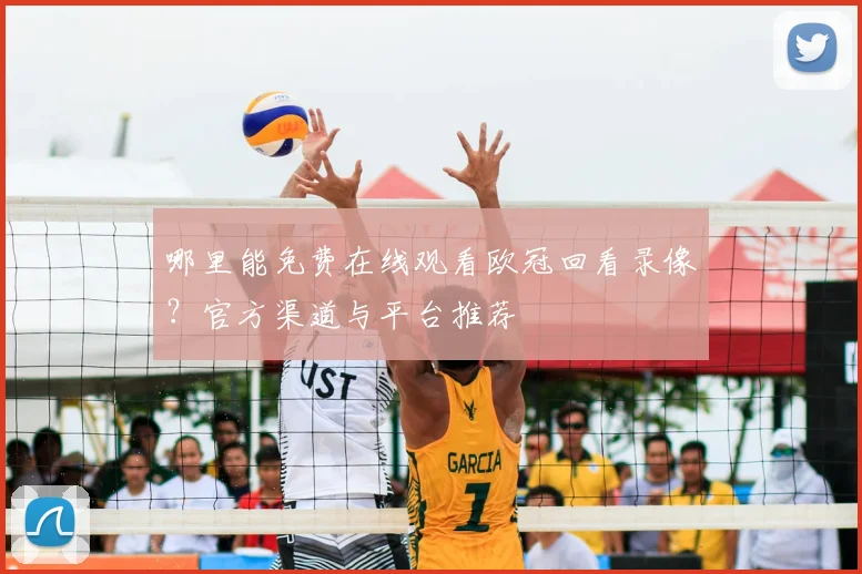 哪里能免费在线观看欧冠回看录像?官方渠道与平台推荐