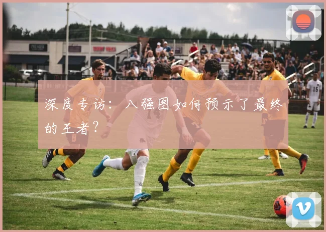 深度专访：八强图如何预示了最终的王者？