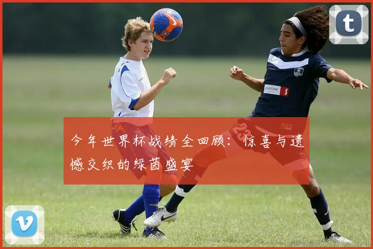 今年世界杯战绩全回顾：惊喜与遗憾交织的绿茵盛宴