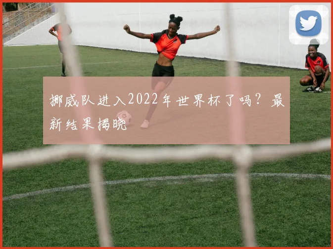挪威队进入2022年世界杯了吗?最新结果揭晓