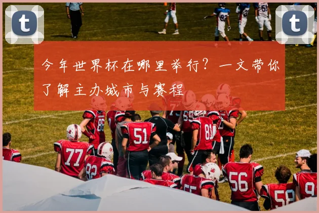 今年世界杯在哪里举行？一文带你了解主办城市与赛程